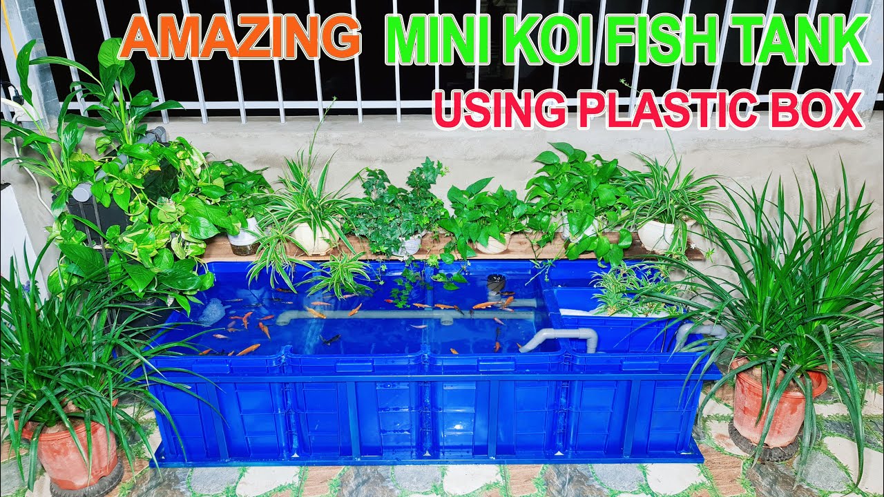 Build Amazing Mini Koi Fish Tank using Plastic Box 4 Pcs at home