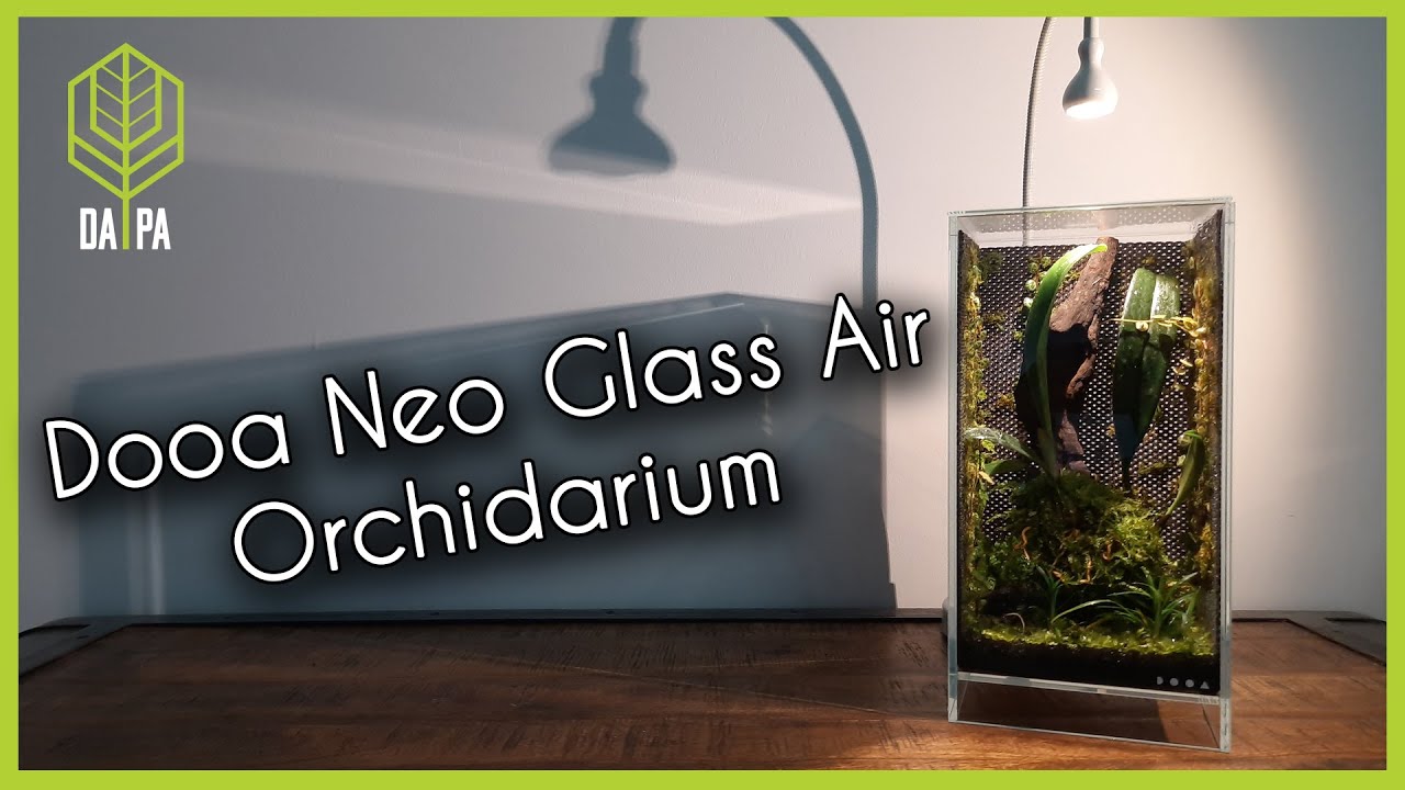 Dooa Neo Glass Air - Orchidarium