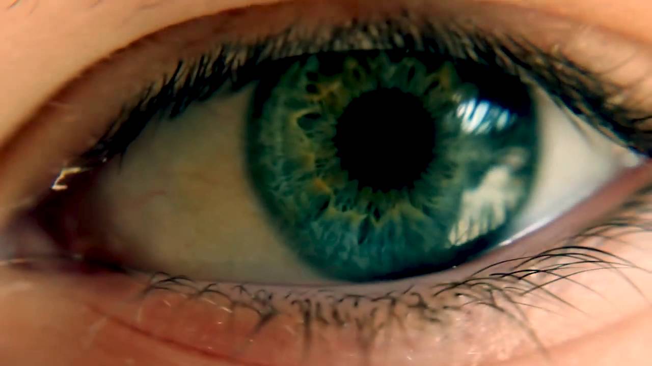 Blakbirdz - Blues de la ciudad (beforeWoods)