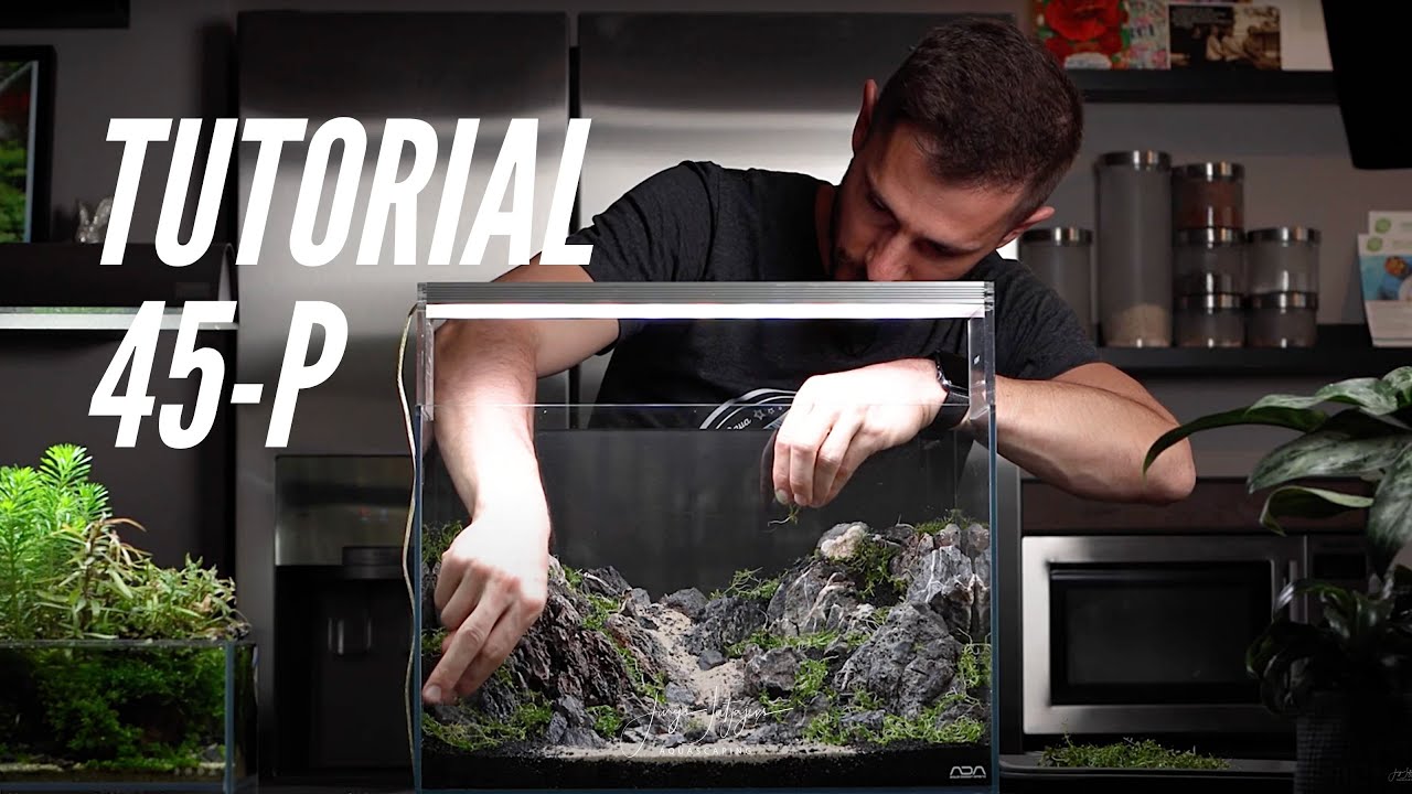 Step by Step AQUASCAPE IWAGUMI - ADA 45p