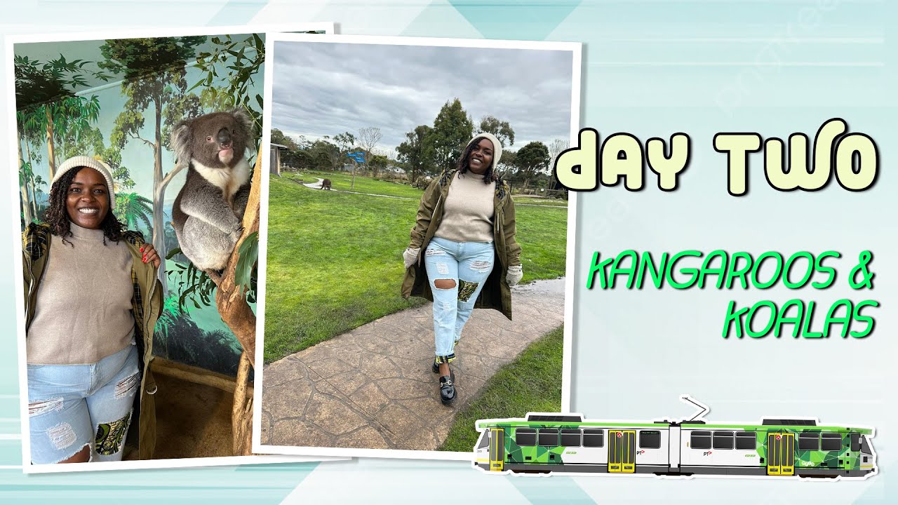 Day 2 in Australia- Seeing Kangaroos and Koalas for the 1st time in my life.
