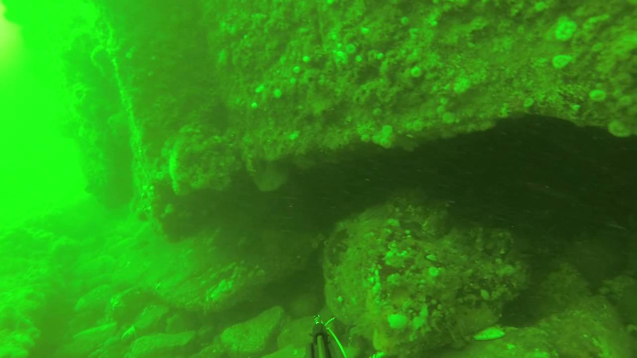 Narrows Bridge 1st Lingcod Dive 2014