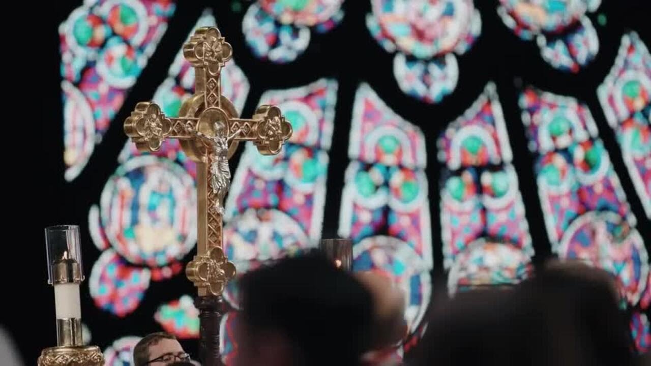 Life Fest – Preparing Pro-Life Witnesses to Proclaim the Gospel of Life
