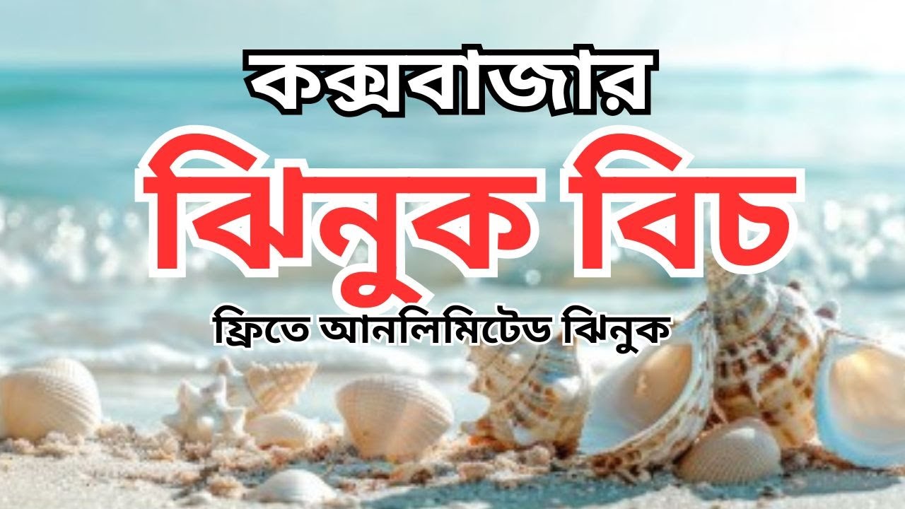 🐚 কক্সবাজারের ঝিনুক বিচ | The hidden treasure of amazing Sea Shells in coxs bazar 🌊