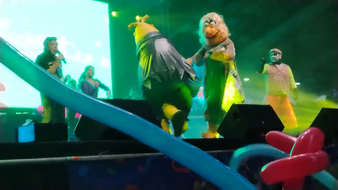 Cachureos en valdivia, desde que la vi, 2024 