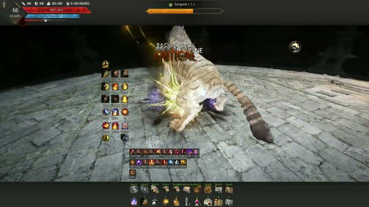 BDO Awakening Sage Sangoon C10 - 3:33