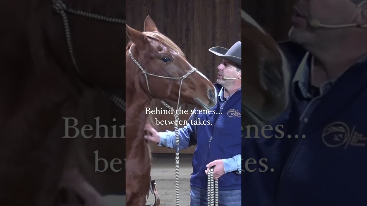 A little behind the scenes of what we have to deal with to keep the movie star feeling good 💫 Good