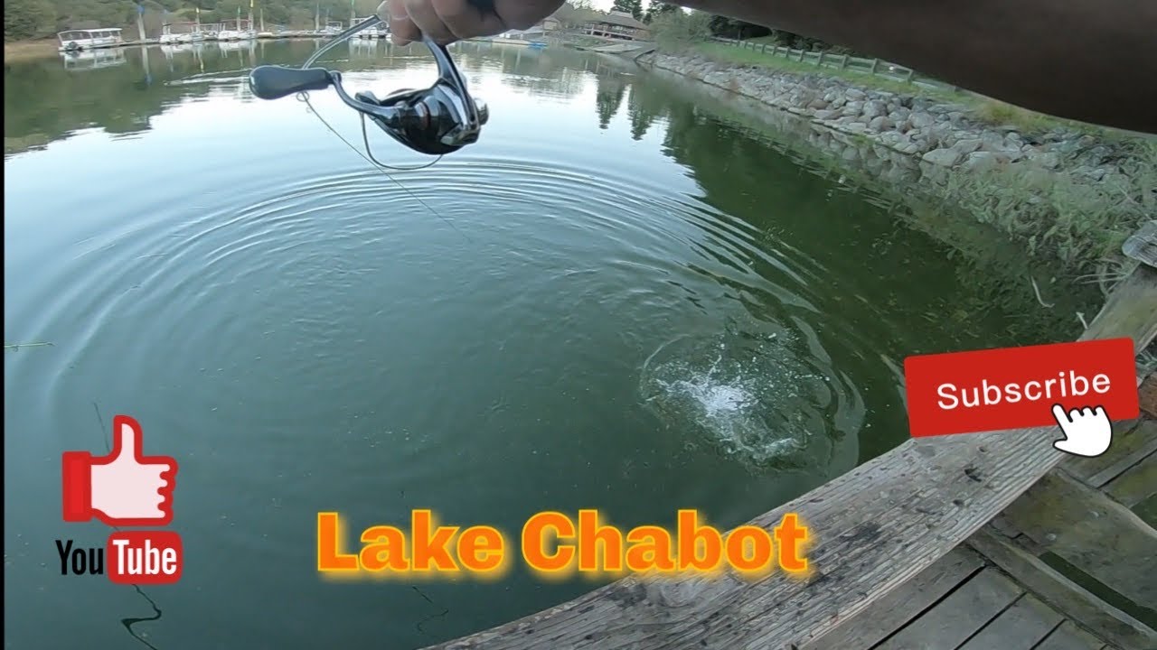 Episode 96: Fishing Lake Chabot with spoons