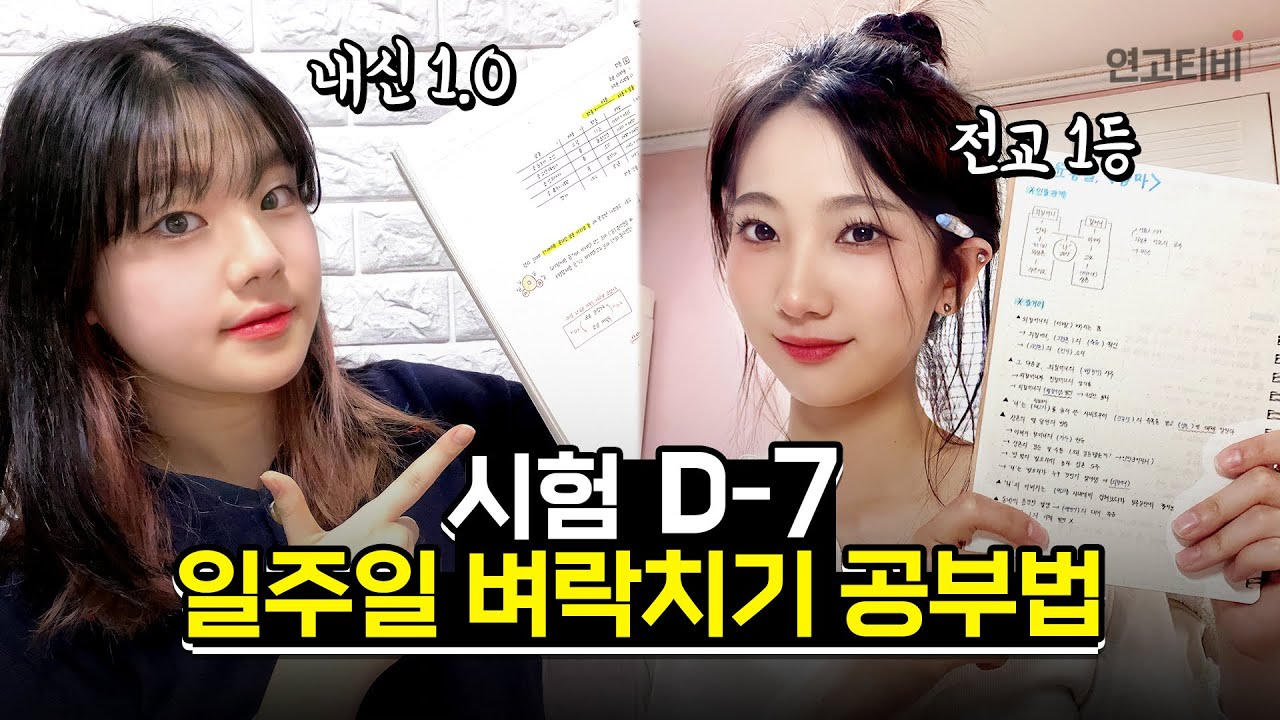 시험 일주일 전, 이제 남은 건 벼락치기 뿐 (중간고사/기말고사 D-7 공부법)