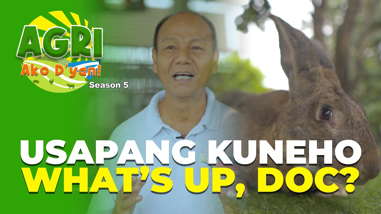Usapang Kuneho: What's up, Doc?