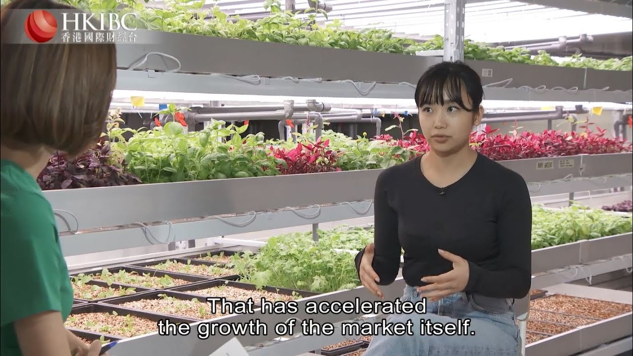 All About Money | Growing greens indoor with Jessica Fong, founder of HK's Common Farms