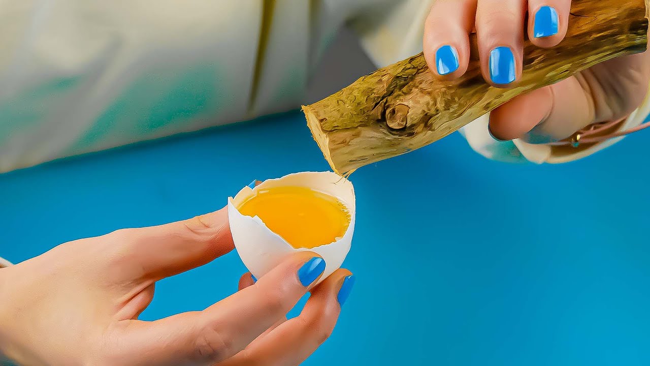 Schiebe Ast in Eierschale: 6 hinreißende Ideen für deine Herbstdeko 🍁🍂🍁