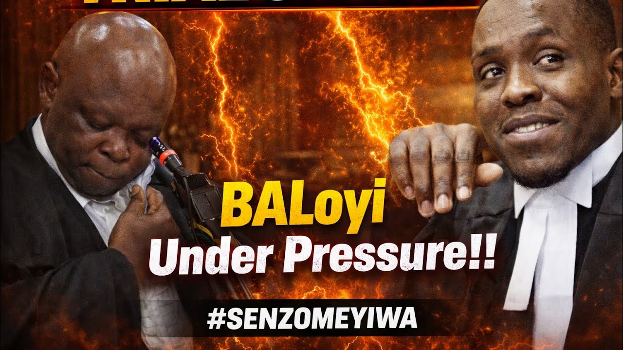 NTANZI EXPOSES CRACKS In State Evidence!#senzomeyiwatrial 