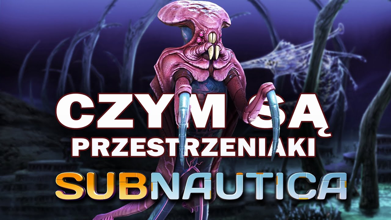 Czym Tak NAPRAWDĘ Są PRZESTRZENIAKI? (Warpery) | SUBNAUTICA