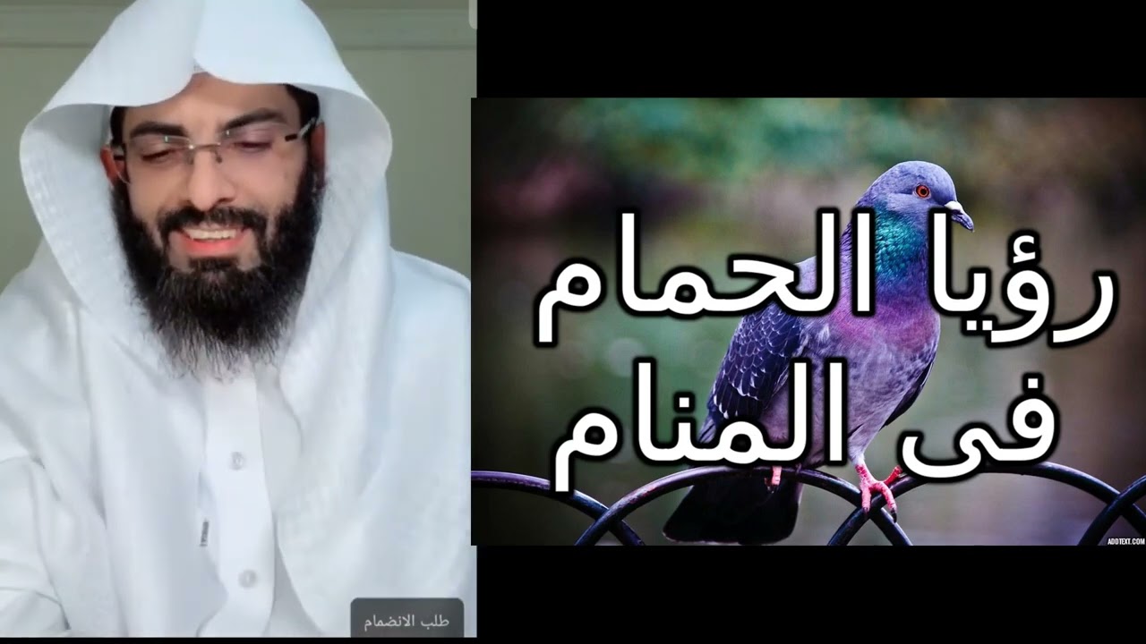 رؤيا الحمام في المنام #تفسير_الأحلام #تفسير_احلام #تفسير_رؤيا#قصص #حكايات #روايات #حكيات#النساء