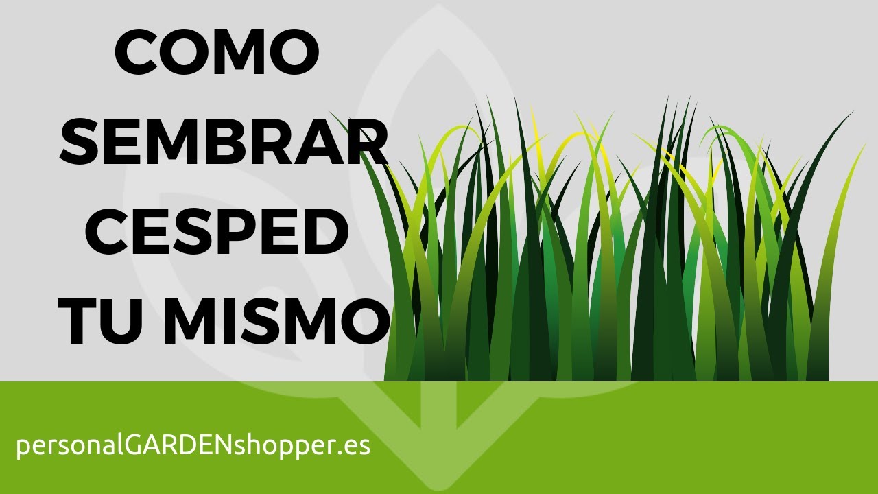 CÓMO PLANTAR O SEMBRAR CÉSPED TÚ MISMO