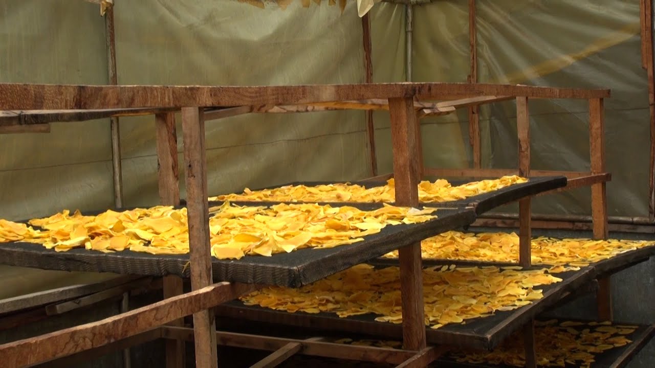 Faire des chips de mangue (Résumé)