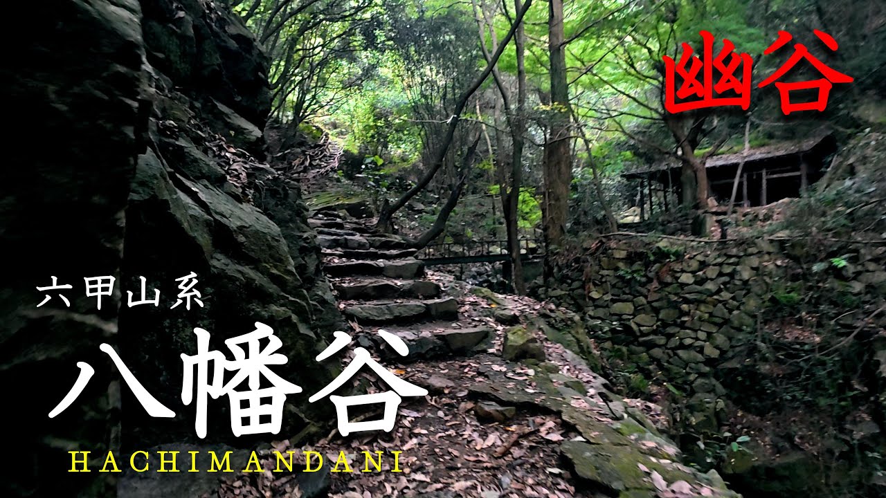 【六甲山系の秘境】両側を切り立った崖に囲まれた神秘的な幽谷、八幡谷を歩く