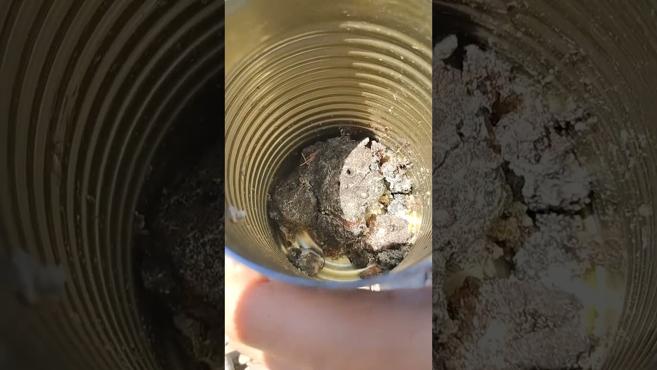How to make DIY survival glue. 
