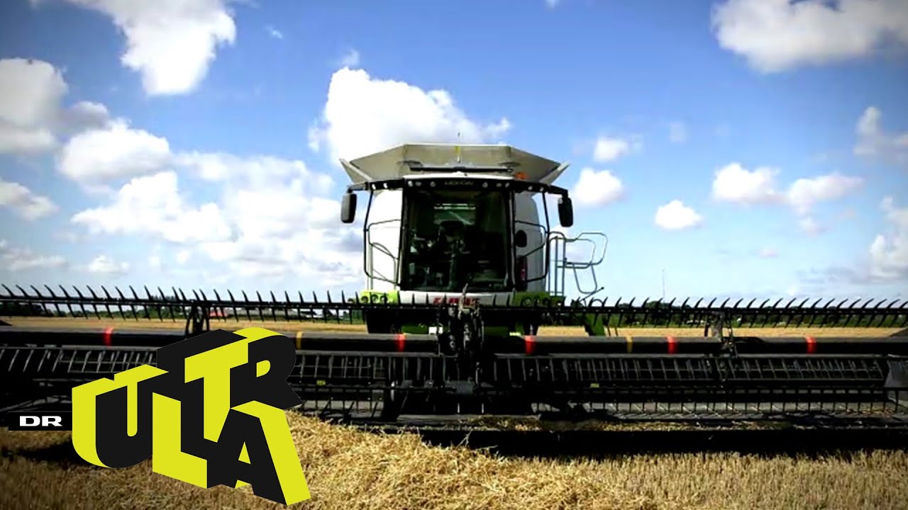 Claas Lexion 770 TT mejetærsker | Danmarks Vildeste Maskiner | Ultra