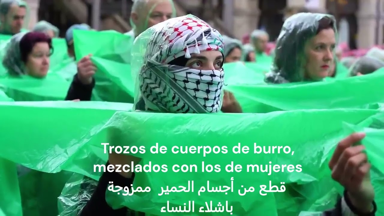 Bombardeo en ciudad Gernika (1973) y en Gaza (2023)