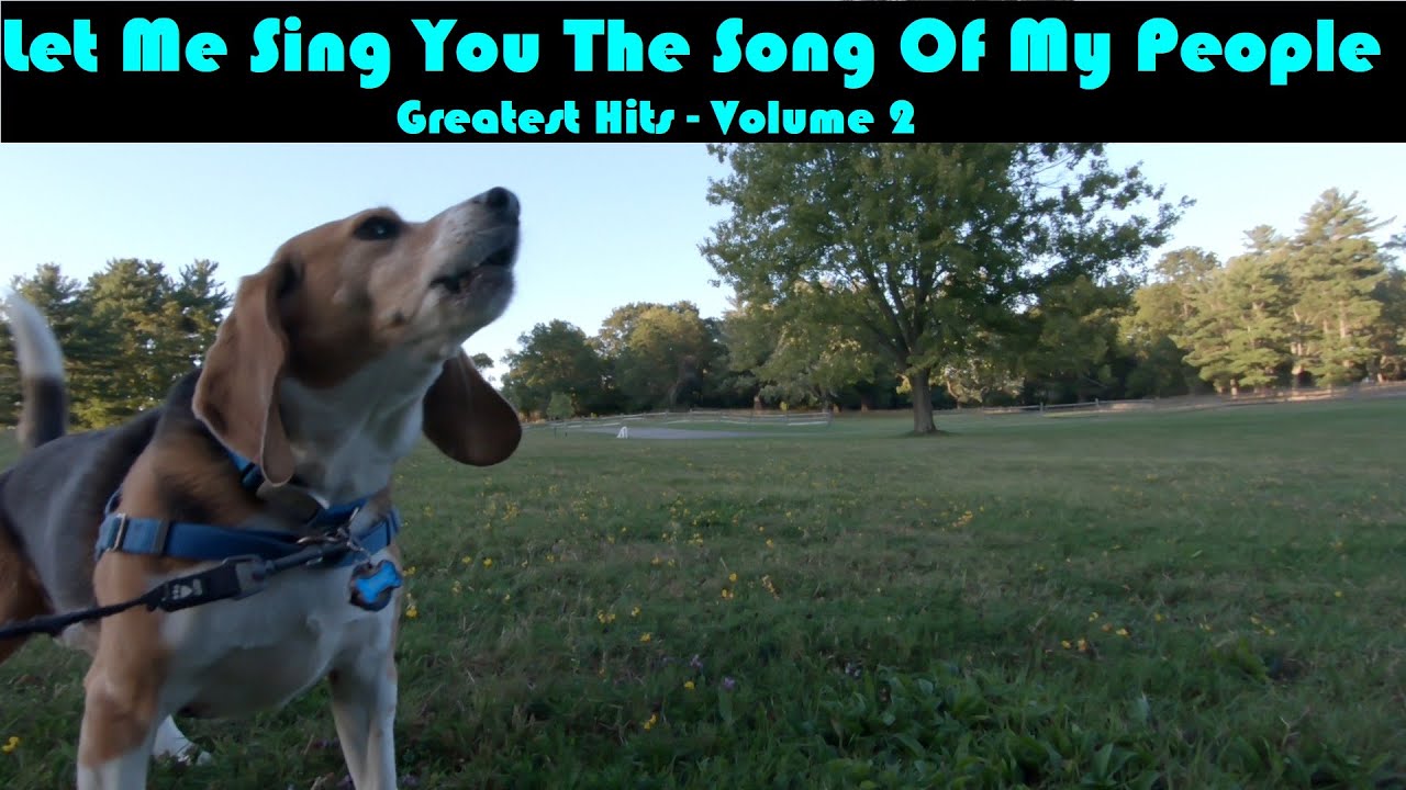 Let Me Sing You The Song Of My People 2