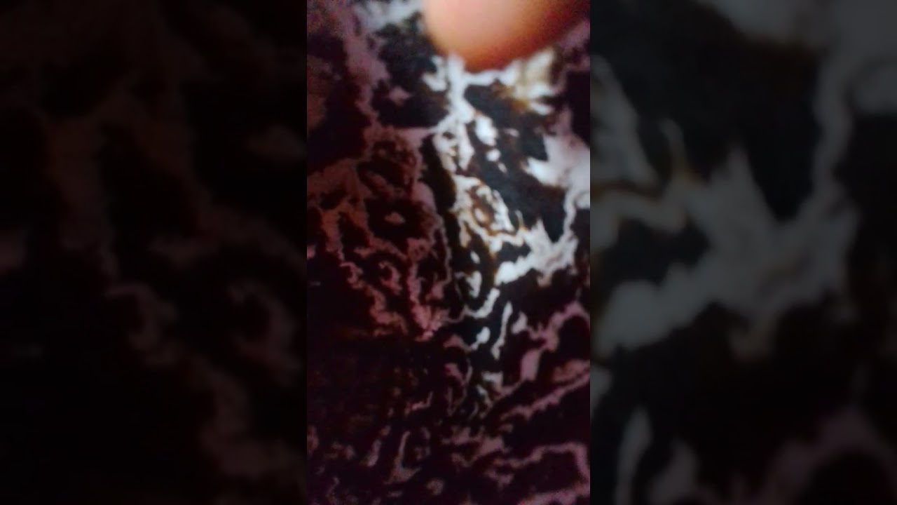 توقعات برج الثور بإذن الله🤔👈كارما على رجل بتاع ستات،تنقلات إيجابيه ،خروج لشخص لكن مازال موجود،فرحه💯👍