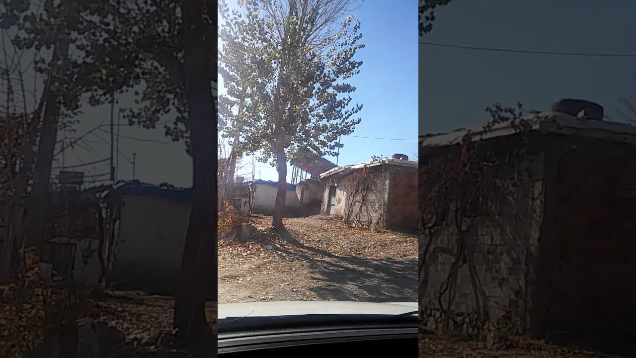 Dedeköy bedava klip 22 Kasım 2016