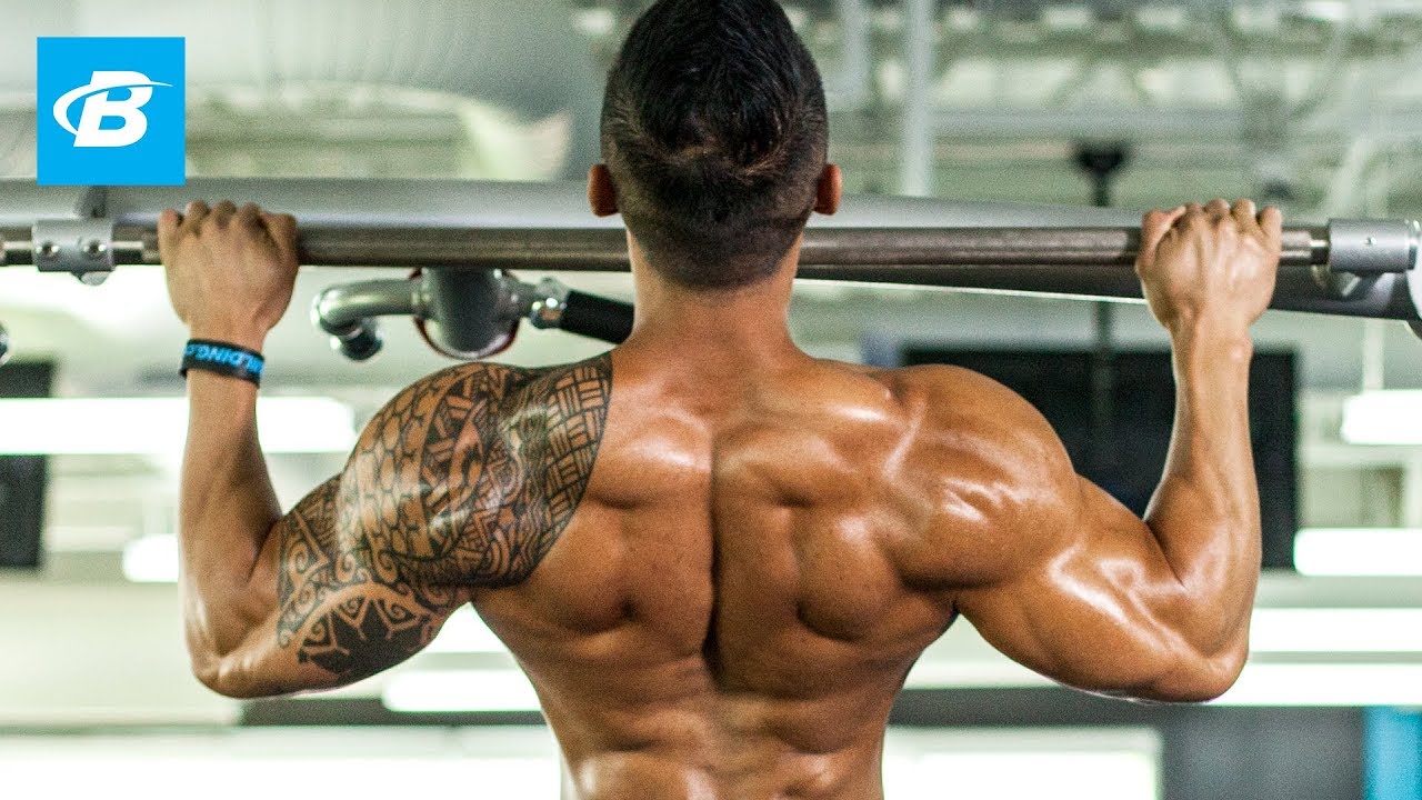 5 Moves To A Bigger, Stronger Back | IFBB Pro Jake Alvarez