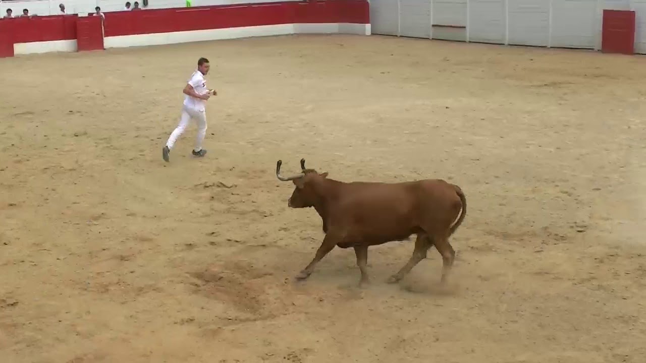 21 09 19 Begaar Deyris Dal Concours de Cocardes Les Demi Finales
