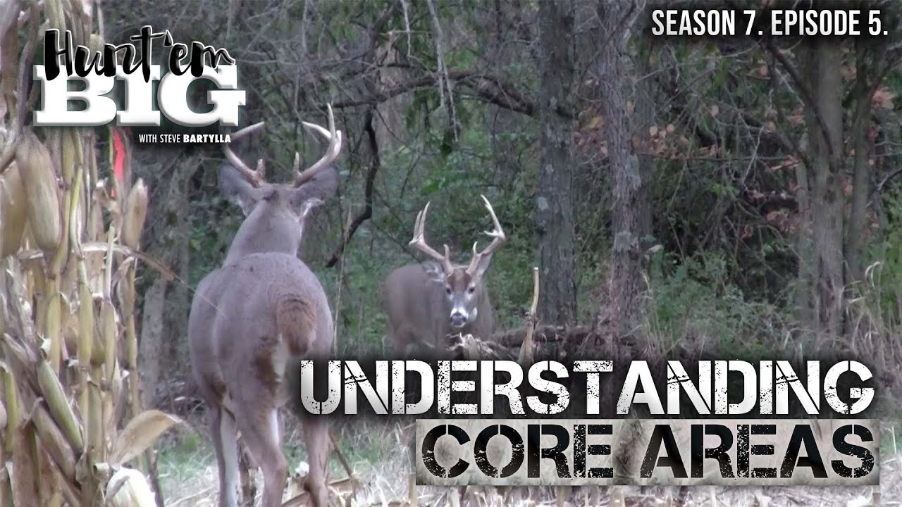 Buck Bedding Areas: Why They Shift
