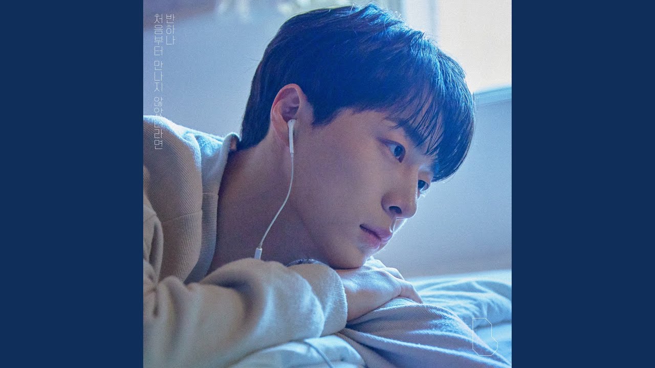 if we never met (처음부터 만나지 않았더라면)