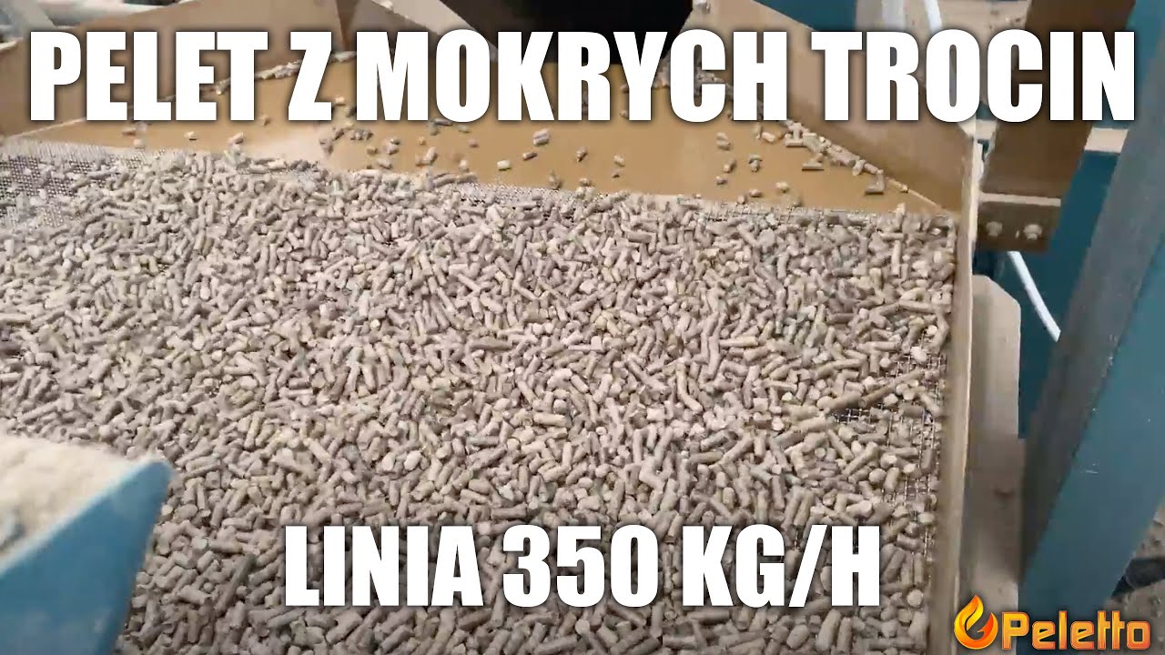 350 kg/h peletu z mokrych trocin. Linia Peleton 3000 MT. Nagranie z hali klienta.