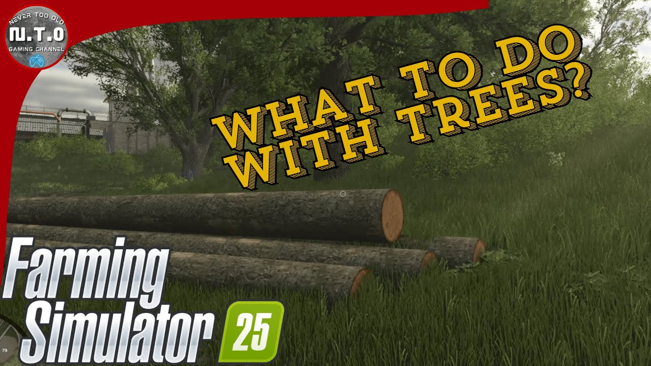 Farming Simulator 25: Что делать с деревьями после их вырубки — FS25