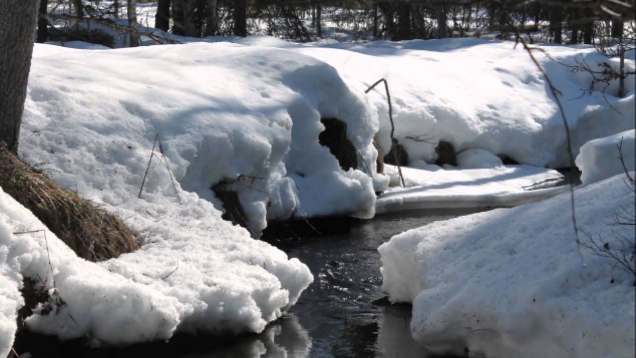 Tunturisatu...Lapinviihdeorkesteri SeppoLeinon johdolla