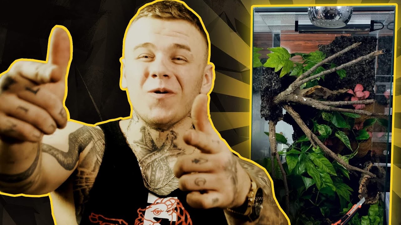 BUDUJE TERRARIUM dla Gekonów Orzęsionych