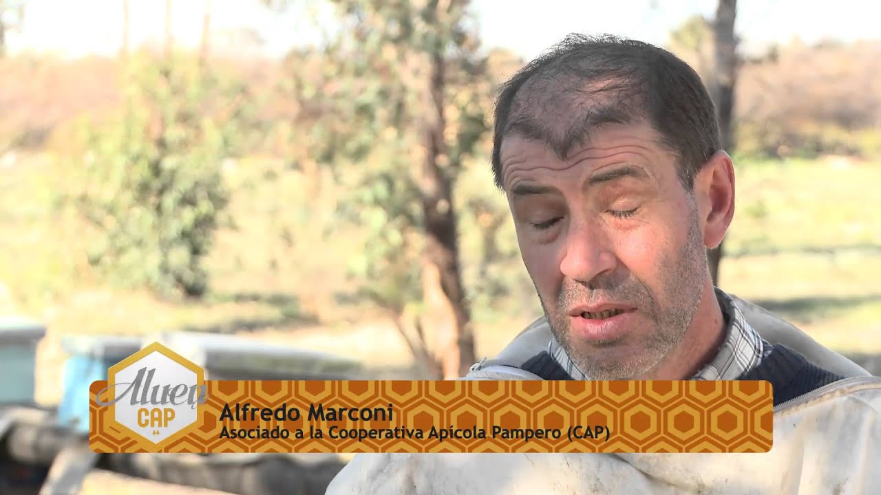Cooperativa Apicola Pampero