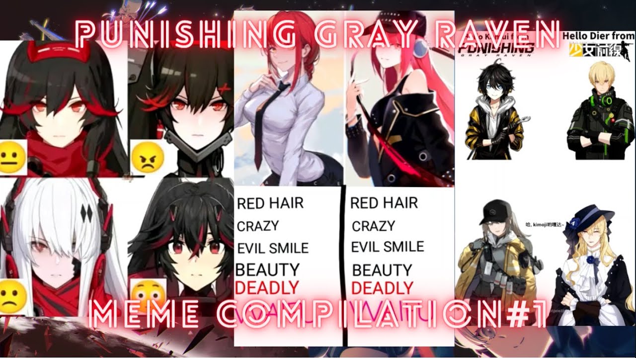 Punishing Gray Raven | Meme Compilation#1