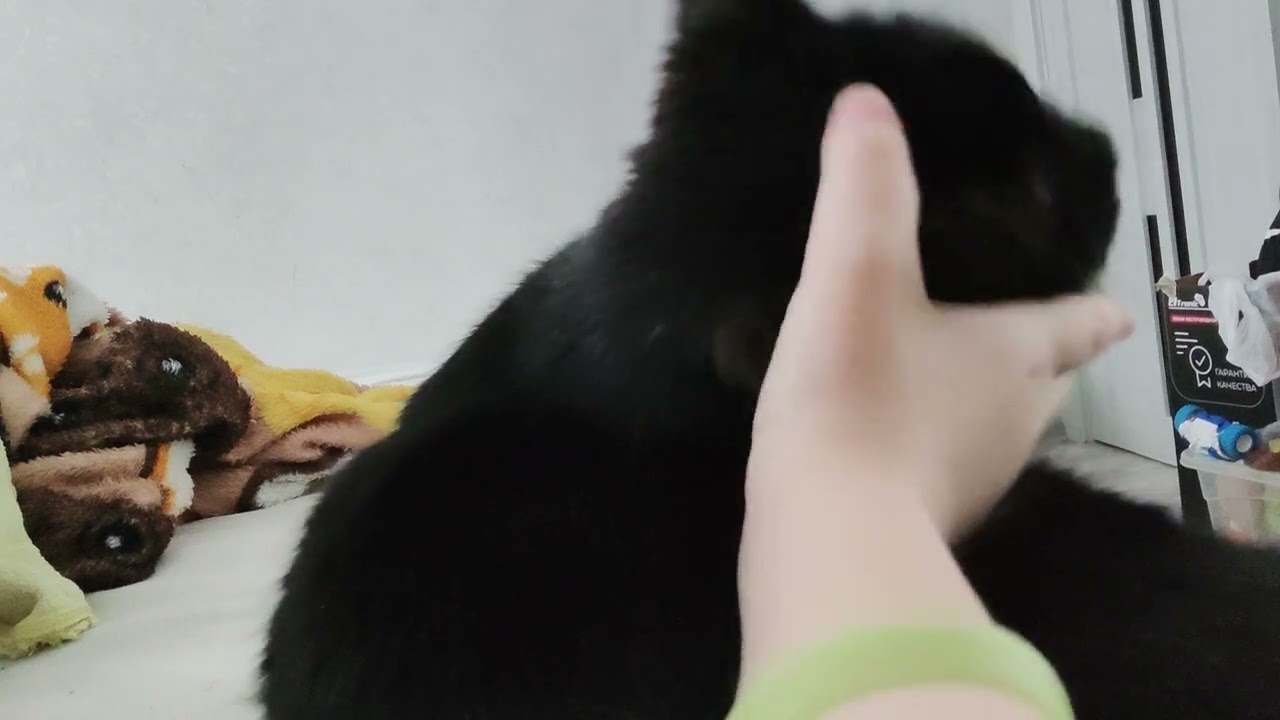 27 февраля 2026 г.