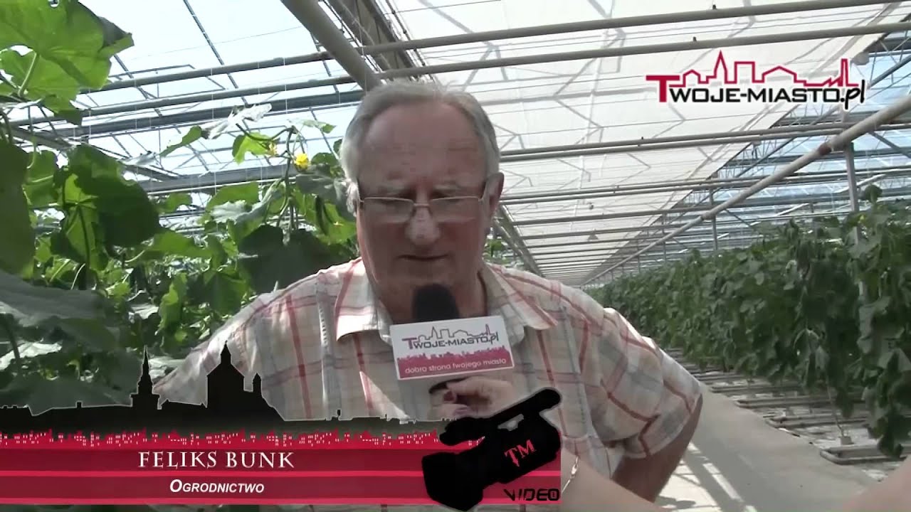 Grudziądz: Bakterie E. Coli