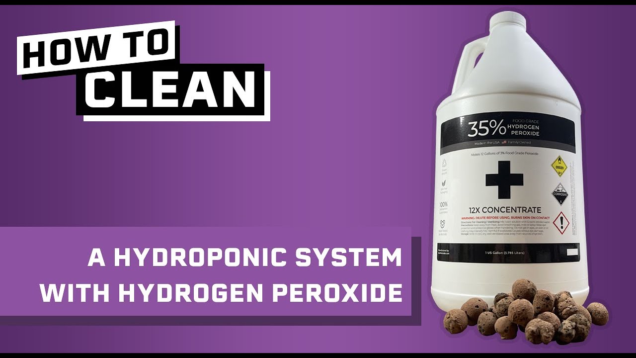 How to Clean a Hydroponic System with Hydrogen Peroxide