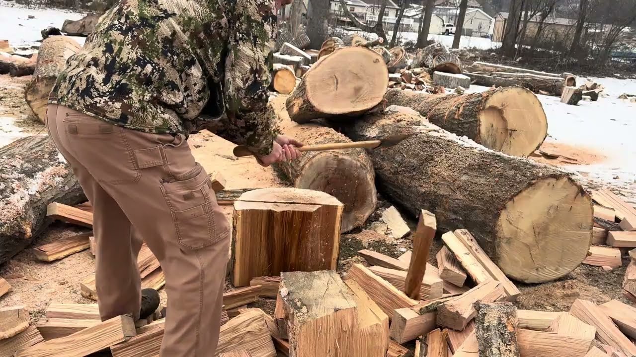 Замерзший дуб