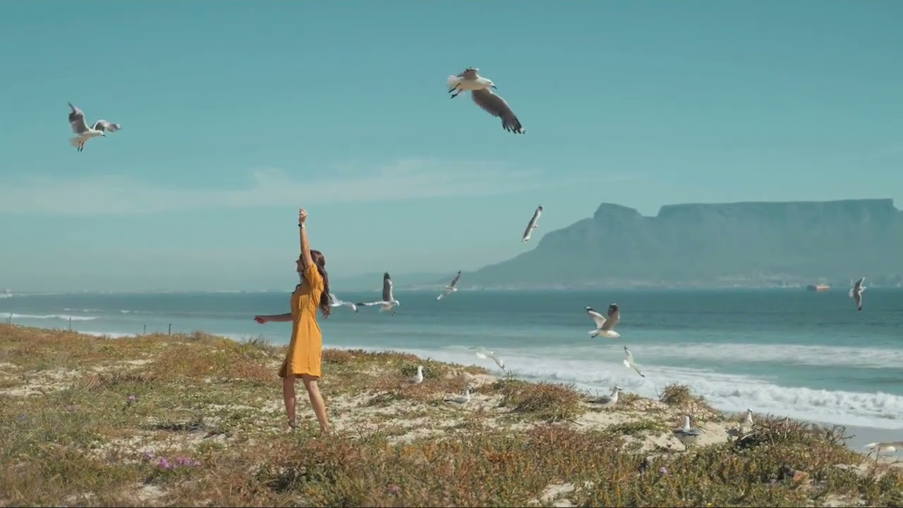 Reggae que cura el alma: m&uacute;sica para sanar el coraz&oacute;n