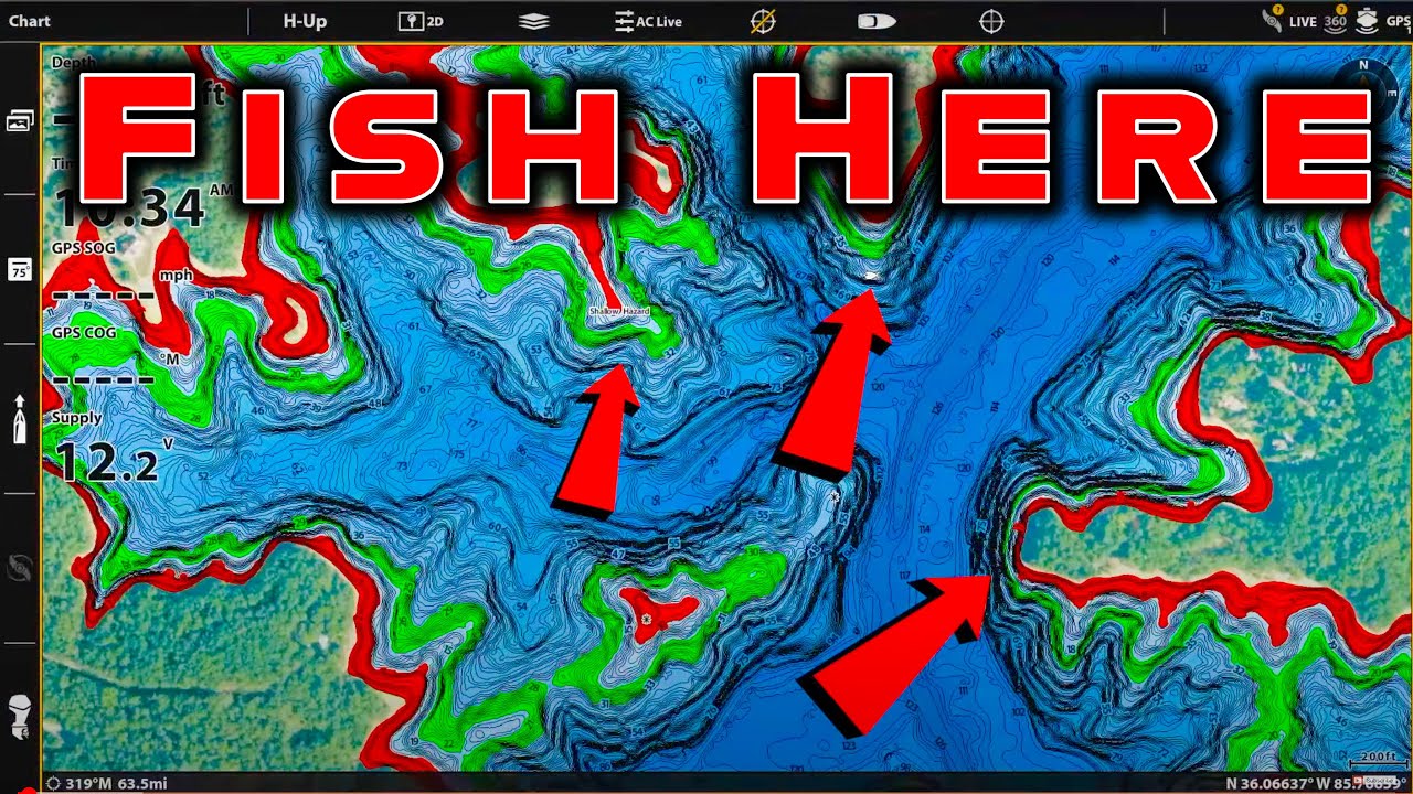 Summer Bass Fishing: Where Bass Go And How To Catch Them!