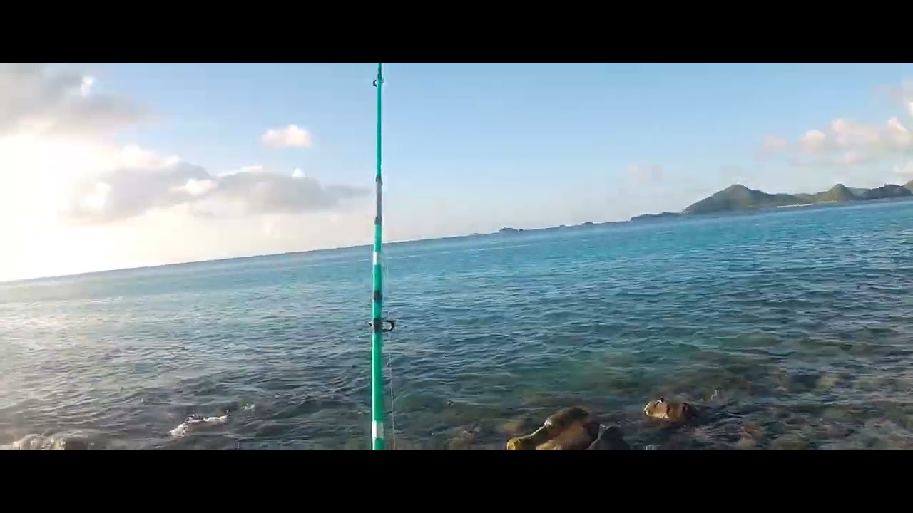 Fish Dem Hit Me For 6| Frustrating Night of Fishing Part 1😡 #cricketterminology  #rockfishing