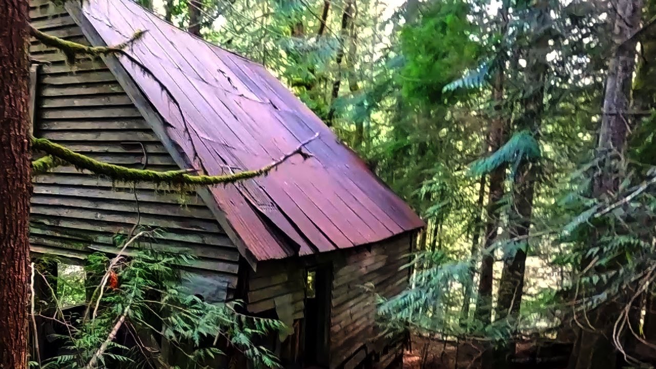 Old Cabin, New gold claim!