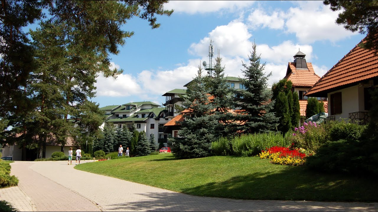 ZLATIBOR NEKADA