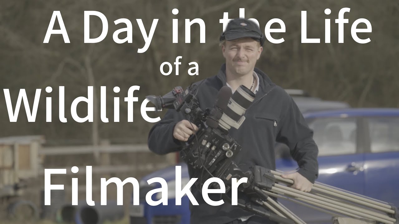 A Day in Life of a Wildlife Filmaker in London