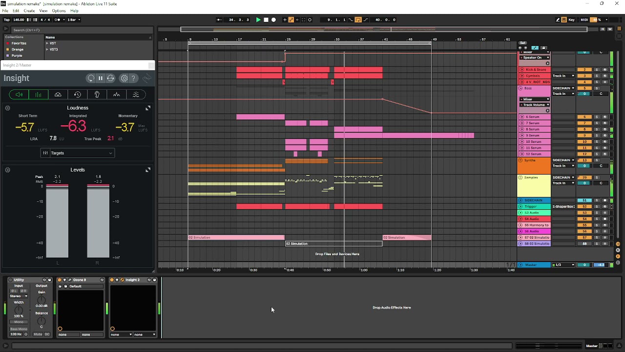 Virtual Riot Simulation Remake