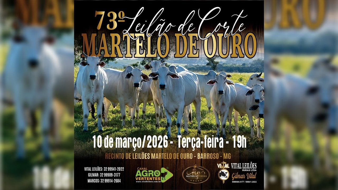 73º LEILÃO MISTO MARTELO DE OURO - BARROSO/MG - 10/03/2026